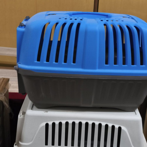 Cat or small dog transport carrier