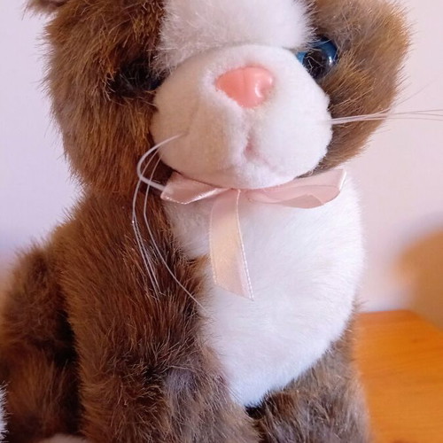 Signature Cuddle Puppy Pomeranian and Bula Cat plush toys like new