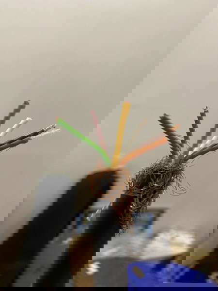 ΚΑΛΩΔΙΟ ΕΝΤΟΛΩΝ LI2YCYv 2x2x1.0mm2