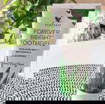  Forever Bright Toothgel