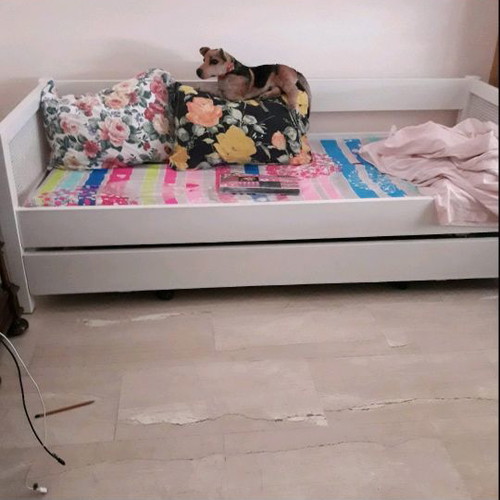 Double wooden sofa bed used