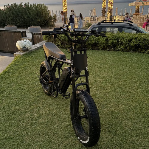 Ridstar Q20 electric bike with carbon wrap battery
