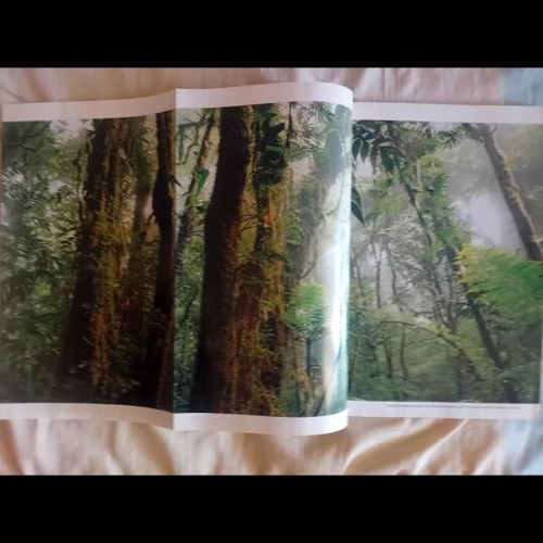 National Geographic magazine January 2000 like new