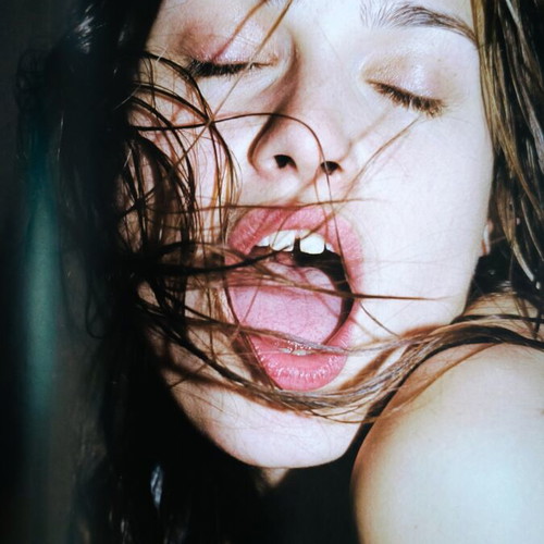 Diana Scheunemann photography hardcover book