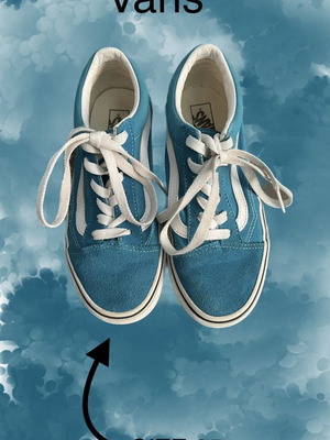 Vans Old School size 35 with suede and leather, like new