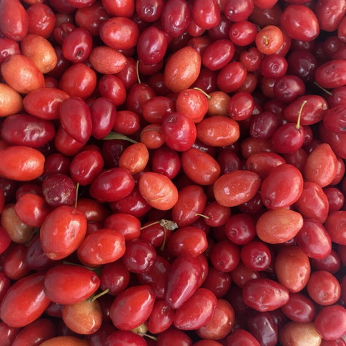 Mountain cornelian cherries from Vermio, organic