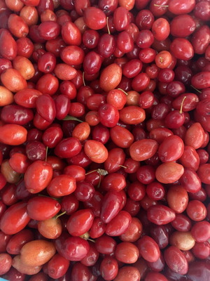 Mountain cornelian cherries from Vermio, organic