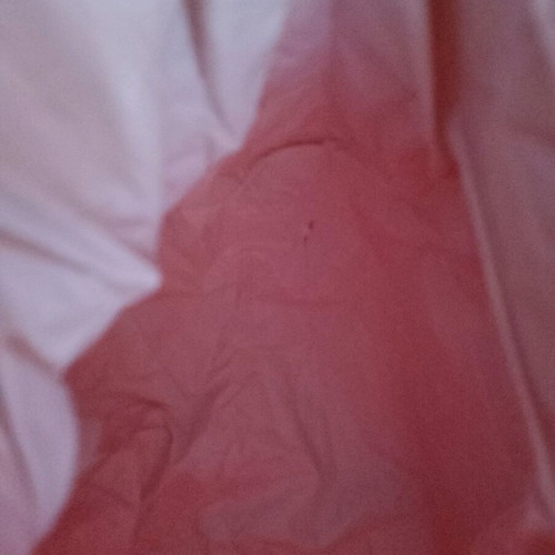 Coca Cola cooler bag used, red