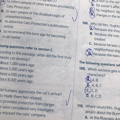 Michigan ECCE B2 10+2 Practice Tests used, 2021 format