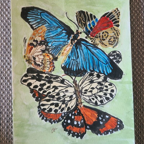 Handmade watercolor set with butterflies new