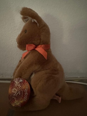 Kangaroo with baby used from Australia