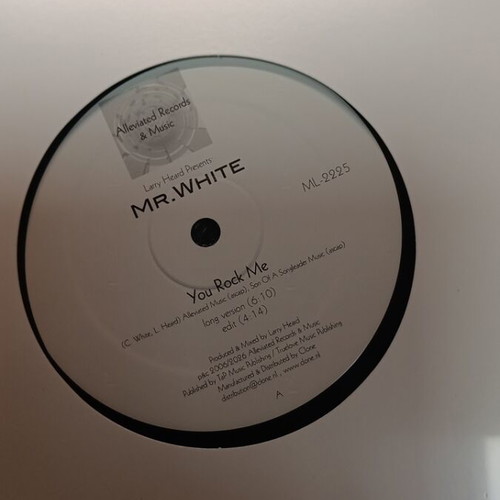 Mr. White You Rock Me vinyl new, electronic