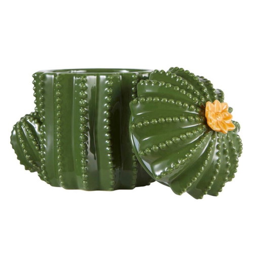 Ceramic Cactus Box new designer decoration