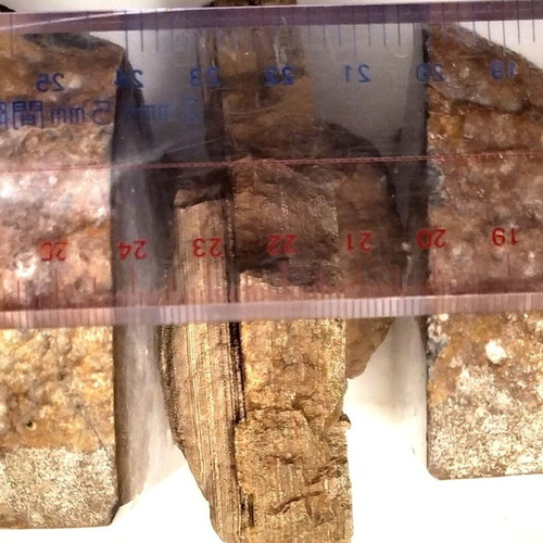 Silicified Hemispherical Stromatolite from Brazil, Precambrian