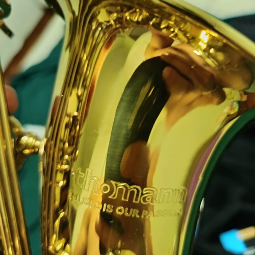 Thomann TAS-180 Alto Saxophone with Selmer Mouthpiece and Accessories