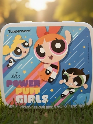 Tupperware Power Puff Girls food container new