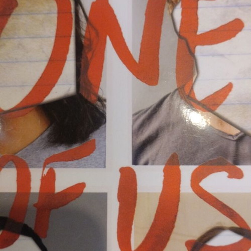 One Of Us Is Lying book like new, English