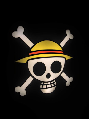 One Piece lightbox 3D printed new with Usb-C connection