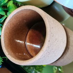 Succulent pots set new