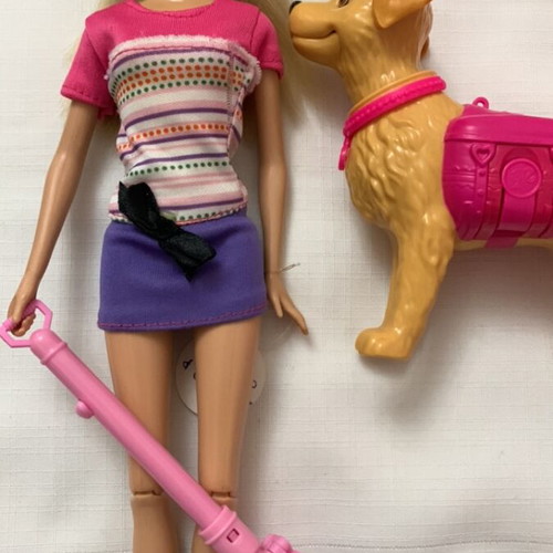 Potty Training Taffy Barbie Doll and Pet Playset used