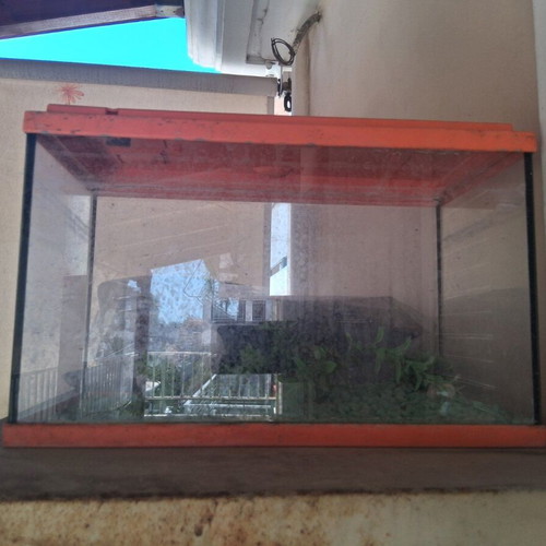 Small aquarium with stones and plastic plants