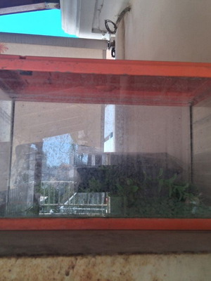 Small aquarium with stones and plastic plants