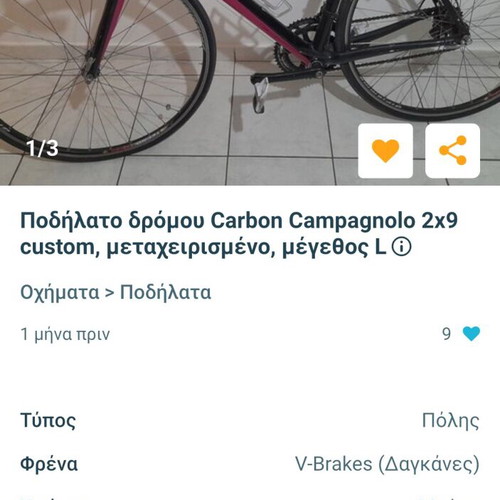 Carbon Road Bike Campagnolo 2x9 custom size L used