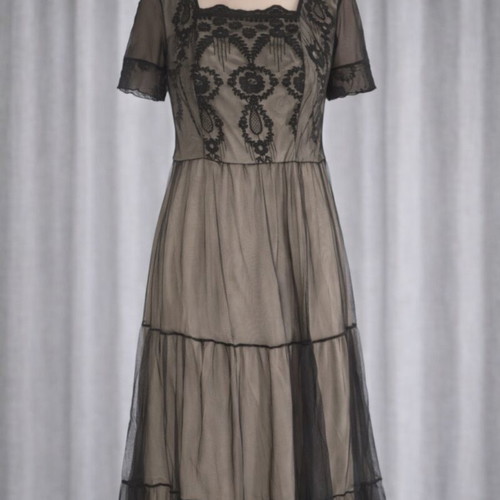 Raxevsky dress in small like new with slip
