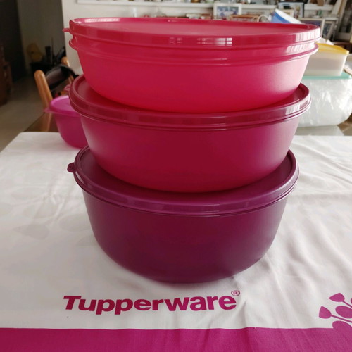 Tupperware set of three large containers new