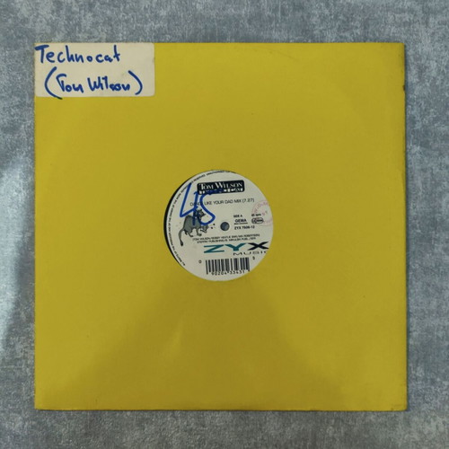Tom Wilson Techno Cat 12'' Vinyl Maxi Single used, electronic