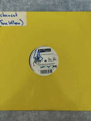 Tom Wilson Techno Cat 12'' Vinyl Maxi Single used, electronic