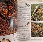  DISCOVERING BIRDS, βιβλίο για τα πουλιά