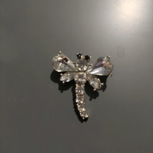 Pin for coat or blouse used