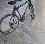 Everest Force mountain bike 26 inch, black