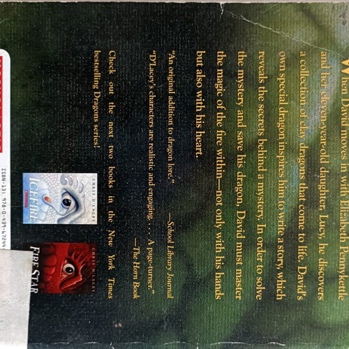 The Fire Within children's fantasy novel used