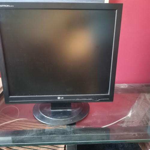 LG Flatron 19" L19175 monitor used with D-sub input