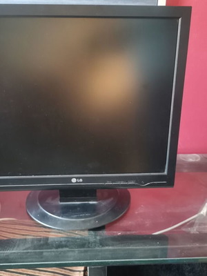 LG Flatron 19" L19175 monitor used with D-sub input