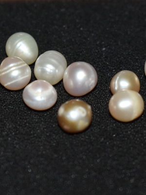 Freshwater pearls 10mm pack of 10 pieces without holes new