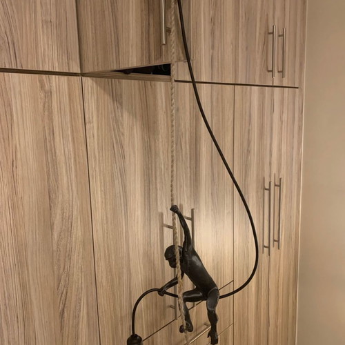 Ceiling light Monkey with lamp new 3D print
