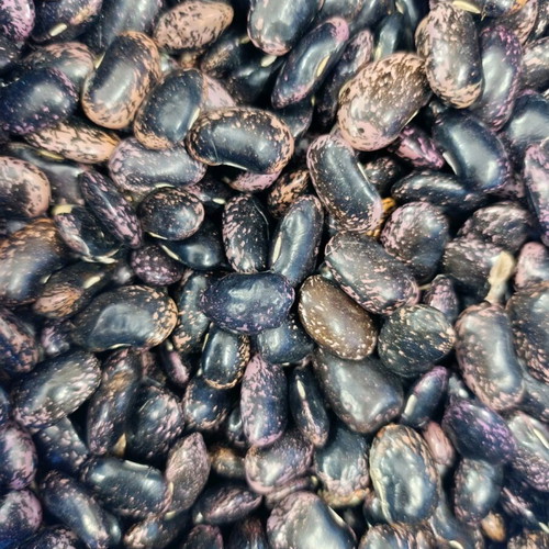 Black Giant Beans new harvest from Voio Kozani
