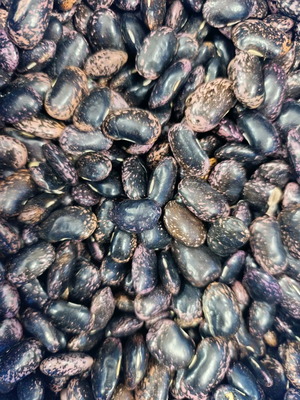 Black Giant Beans new harvest from Voio Kozani