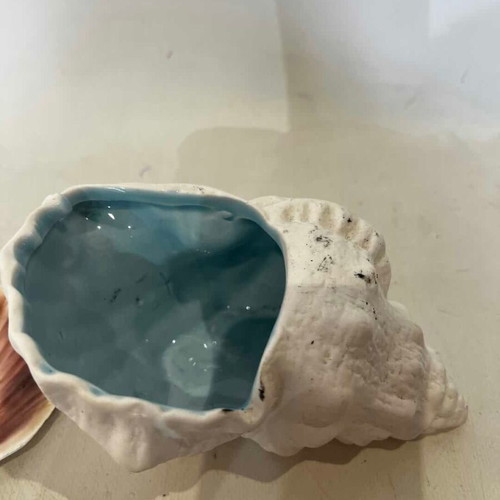 Decorative seashells set of 2 used, sizes 8x17x10 and 12x13