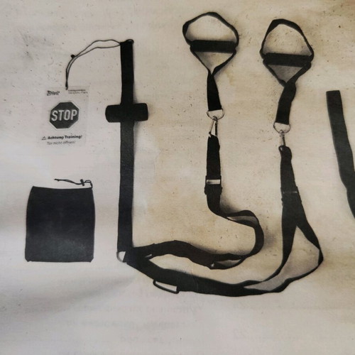 TRX straps with case like new