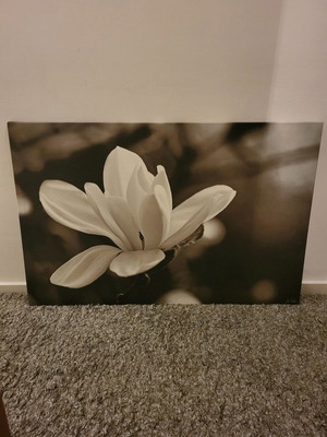 Πίνακας 1,18 × 0,77 μ. άριστη κατάσταση