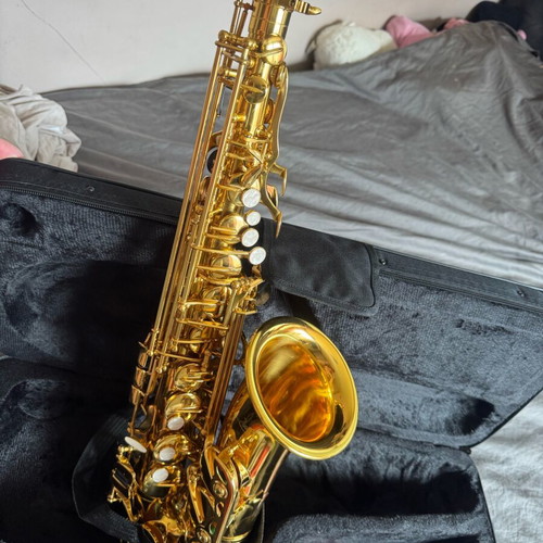 Alto saxophone new full set with extra accessories and case