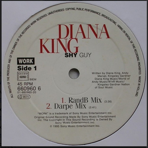 Diana King Shy Guy vinyl like new