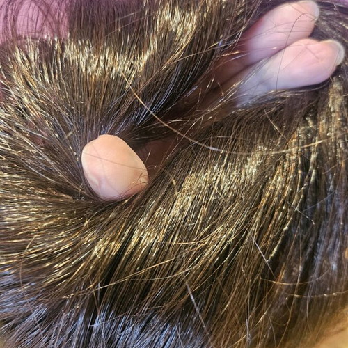 Synthetic Hair Bun with Elastic Like New, Brown Hair Extensions