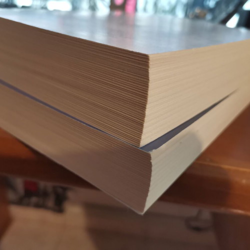 John Grisham books used, The Last Juror and The Winds of Camino