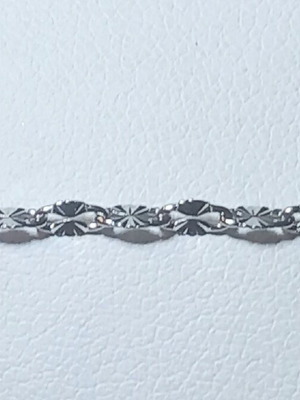 Steel ankle chain