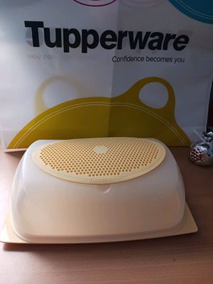 Smart Tupperwer Cheese Container Large New
